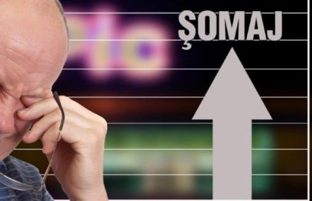 Situația statistică a somajului înregistrat la sfârșitul lunii noiembrie în județul Botoșani