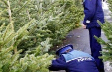 Comerciant ghinionist, sancţionat de poliţiştii botoşăneni de două ori în aceeaşi zi 