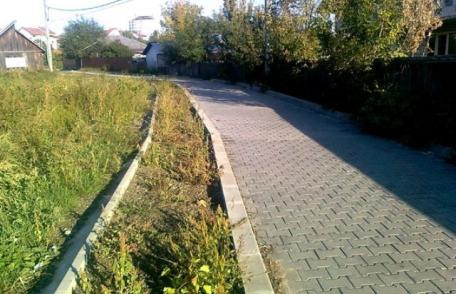 Primim la redacţie - Buruieni în loc de pavele pe „Valea Ţiganului” din Dorohoi !