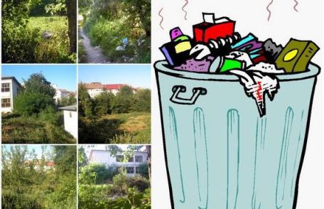 Primim la Redacţie: Un loc plin de bălării și gunoaie care provoacă dezgust - FOTO