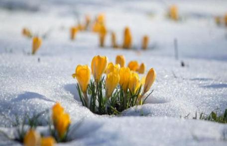 Prognoza meteo pentru februarie, martie şi aprilie. Când vine primăvara  