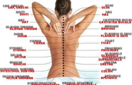 Problemele la coloană afectează și alte organe