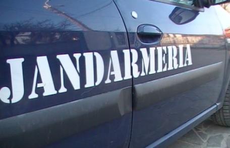 Trei copii, două raţe şi un echipaj de jandarmi