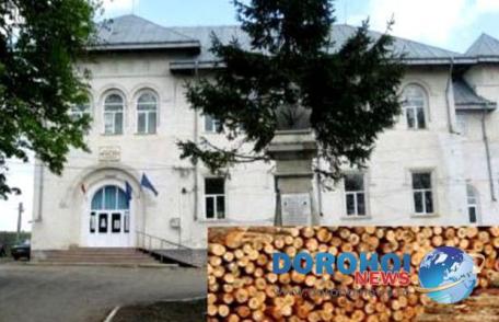 Liceul Teoretic „Anastasie Bașotă” Pomîrla organizează licitație pentru vînzare masă lemnoasă fasonată