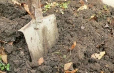 Muniţie în stare activă găsită în timp ce săpa grădina