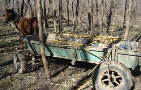 Captură record de ţigări la frontiera de Est - Peste 60.000 pachete de ţigări de contrabandă confiscate - FOTO