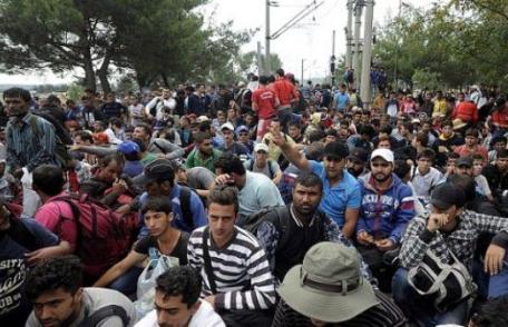 Imigranţii au declanşat iadul în Grecia „Nu se mai poate ieși în parc cu un copil, cu un animal de companie. Cu nimic!”