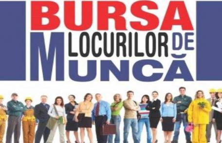  AJOFM Botoșani anunță organizarea „Bursei Generale a Locurilor de Muncă” – Află când se va desfășura și locația