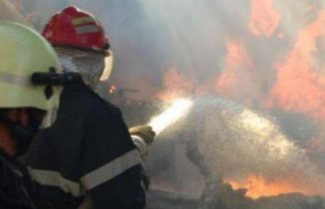 O bătrână din Leorda a suferit un atac de panică după ce şi-a văzut munca de-o viaţă cuprinsă de flăcări