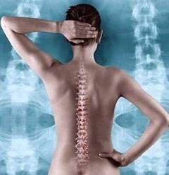 Aspecte interesante legate de oase