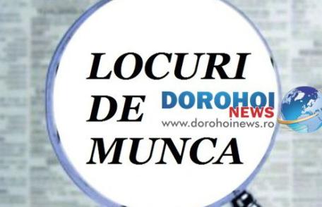 Află ce locuri de muncă sunt la dispoziţia şomerilor din judeţul Botoşani, în această săptămână!