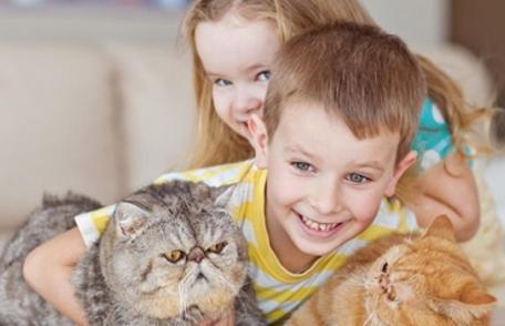 Ce se întâmplă dacă înghiți păr de animale?