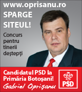 Provocare inedită pentru „tinerii deştepţi din Botoşani”: „SPARGE SITE-UL WWW.OPRISANU.RO!” 