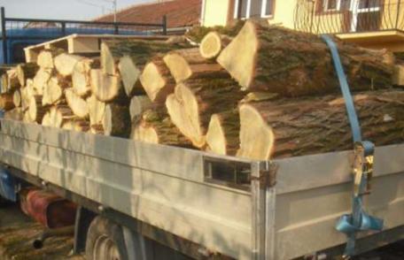 Lemn fără documente legale confiscat de poliţiştii de frontieră dorohoieni