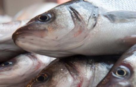 Avertismentul lansat de medici! Nu mai mâncaţi aceste tipuri de peşte! Conţin mercur și plumb