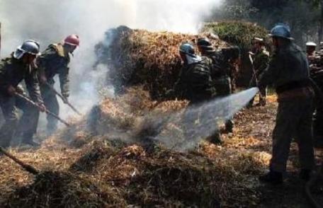 30 tone de furaje distruse din joacă. Un copil de partu ani s-a jucat cu chibriturile!