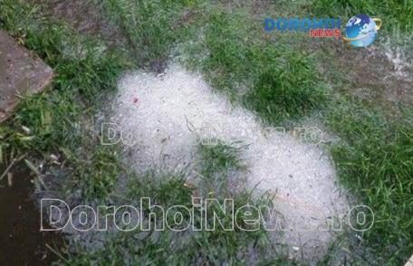 Grindina a făcut pagube la Pomârla: Culturi distruse și gpspodării inundate - FOTO