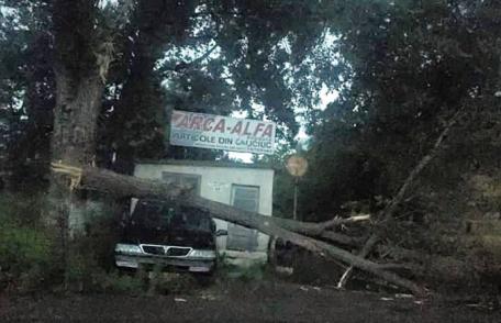 Ravagii făcute de furtună în Județul Botoșani. Case și curți inundate, mașini rămase în trafic la Dorohoi, copaci rupți