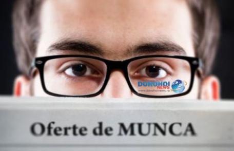 Vezi ce locuri de muncă sunt la dispoziţia şomerilor din judeţul Botoşani, în această săptămână!