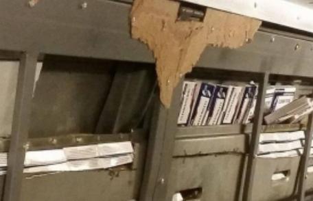 Zeci de mii de comprimate cu substanțe anabolizante, ascunse într-un microbuz 