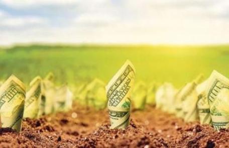 Anunțul directorului APIA pentru fermierii care așteaptă banii pe agromediu!