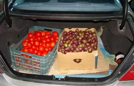 Aproximativ 8.000 de ţigarete disimulate în lădiţele cu fructe, depistate la vamă - FOTO