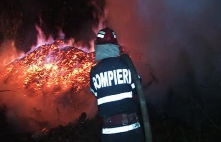 Adăpost de animale distrus într-un incendiu provocat cu intenţie