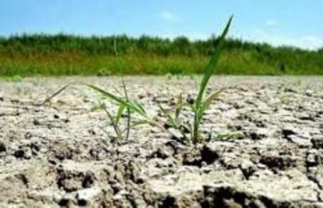 Prefectul Dan Nechifor recomandă producătorilor afectaţi de condiţiile meteo să solicite facilităţile fiscale prevăzute de lege