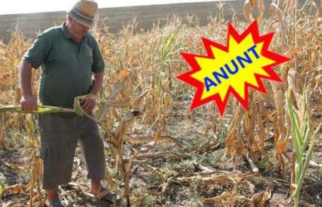 ANUNȚ important pentru deținători de terenuri agricole din Dorohoi!