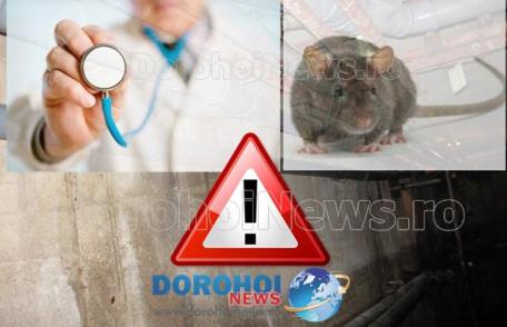 Primim la redacție – Apel către autorități: „Leptospiroza pândește din subsolurile cartierului Victoria”