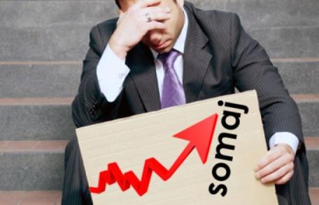 Cei care refuză două oferte consecutive de muncă nu mai primesc șomaj