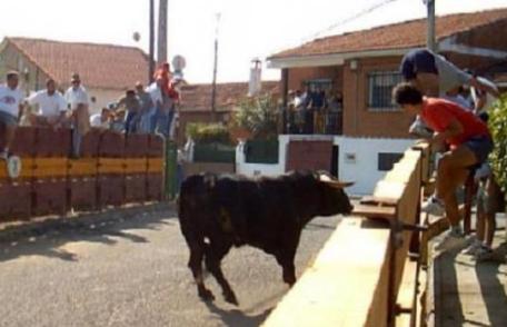 O fetiţă româncă a fost rănită grav de un taur scăpat de sub control