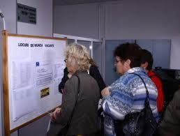 AJOFM Botoșani | 410 șomeri se aflau în Dorohoi la sfârșitul lunii mai