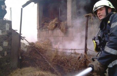 Adăpost de animale şi furaje distruse din joacă