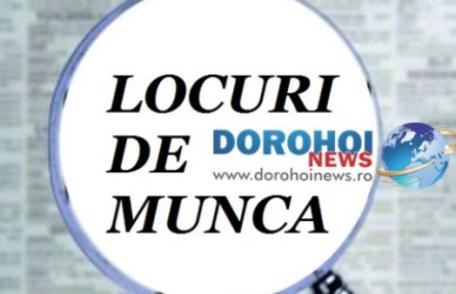 Aproape 400 de locuri de muncă vacante, sunt la dispoziţia şomerilor din judeţul Botoşani, în această săptămână