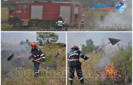 Incendiu izbucnit în apropierea unui depozit de lemne din Dealu Mare. Pompierii dorohoieni au evitat un dezastru - FOTO