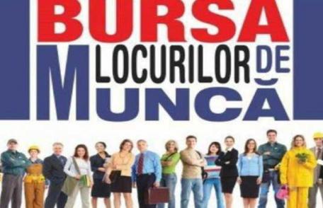 AJOFM Botoșani organizează „Bursa locurilor de muncă pentru absolvenţii promoţiei 2016” Vezi data și locația!