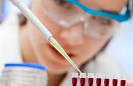 Celulele stem: izvor de viață sau doar o legendă?