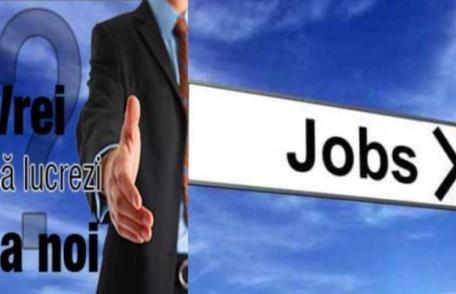Val de angajări în administraţia publică din județul Botoșani. Zeci de posturi scoase acum la concurs. Vezi harta joburilor!