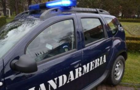 Amenzi de 7000 de lei pentru încălcarea legislaţiei silvice