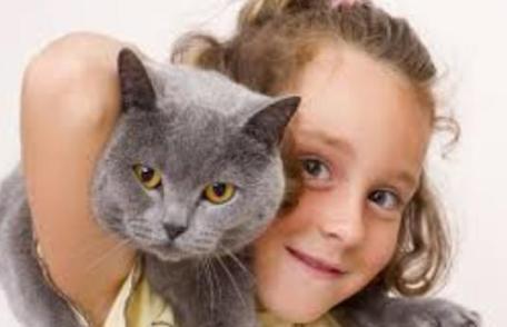 Riscul la care te expui atunci când stai mult prea aproape de pisica ta