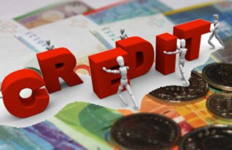 Lovitură pentru împrumutaţii în franci elveţieni. Guvernul contestă legea conversiei creditelor la Curtea Constituțională