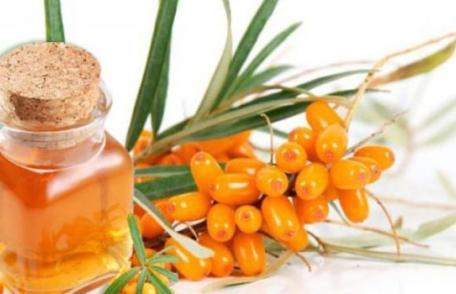 Remedii cu cătină pentru imunitate