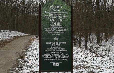 Lucrările de reabilitare a Lacului cu Nuferi au fost finalizate - FOTO