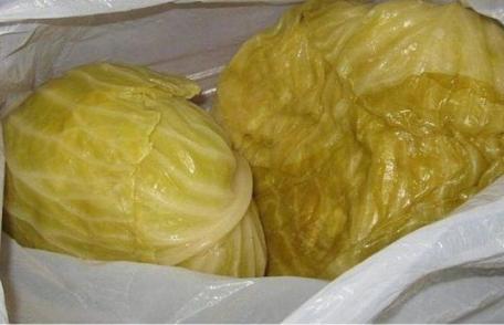 Beneficiile UIMITOARE ale verzei murate!