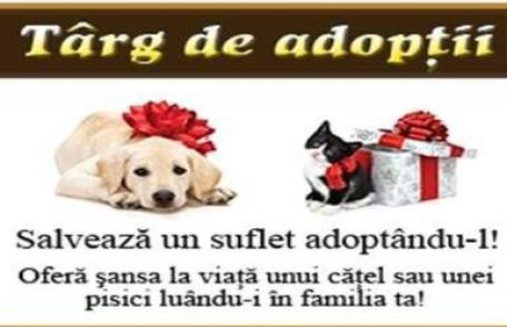Asociația ADOR | Târg de adopţii şi concurs de frumuseţe canină, sâmbătă, în Parcul Mihai Eminescu