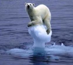 Nivelul mărilor creşte mai repede ca oricând, avertizează oamenii de știință