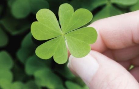 Cele mai norocoase zodii din această iarnă