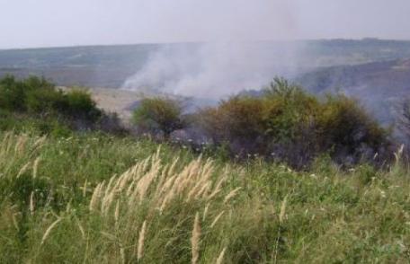 Stop incendiilor de vegetaţie uscată!