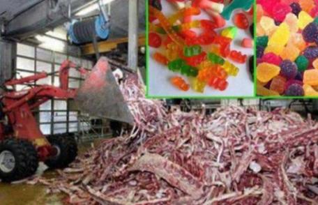 Filmuleţul de groază care arată cum sunt fabricate jeleurile din comerţ - VIDEO